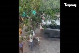 Va quẹt giao thông, rượt đuổi 'đánh hội đồng' tài xế ô tô ở TPHCM