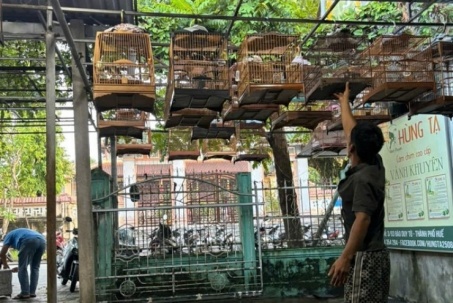 Huế: Nhiều người mang chim cảnh tới quán cà phê đã không còn sợ... tịch thu