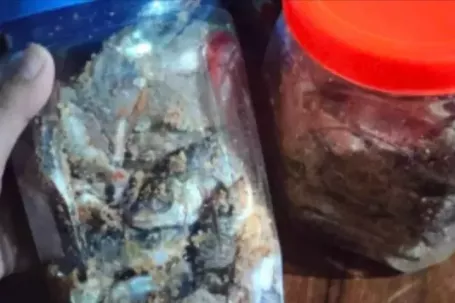 3 trẻ ở Đà Nẵng nhập viện cấp cứu sau khi ăn cá ủ chua