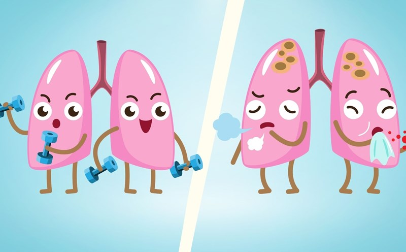 Thói quen khiến phổi “khóc thét”: ho rát cổ, đàm đặc như keo, thở nặng như đeo đá - bạn có đang mắc phải? - 1