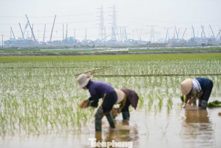 Theo kế hoạch, công trình sân vận động Trống Đồng dự kiến hoàn thành vào năm 2028, kỳ vọng trở thành một trong những sân vận động lớn nhất thế giới và là điểm nhấn mới của hạ tầng thể thao Thủ đô.