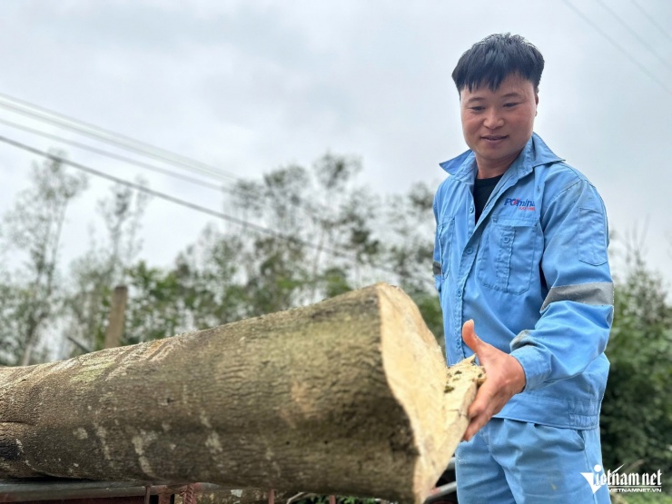 Người dân đánh giá việc tìm trầm trong thân cây ngoài kinh nghiệm, còn phụ thuộc vào phần may mắn.