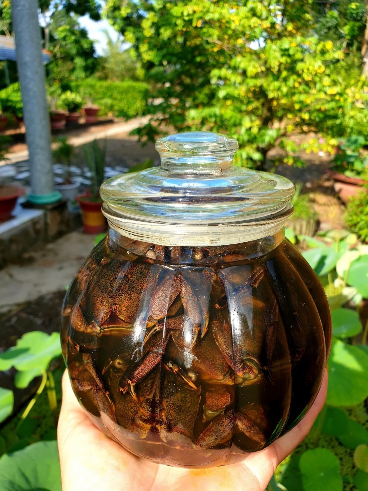 Nhiều gia đình tự muối ba khía để dùng dần. Ảnh: Đỗ Suốt Anh