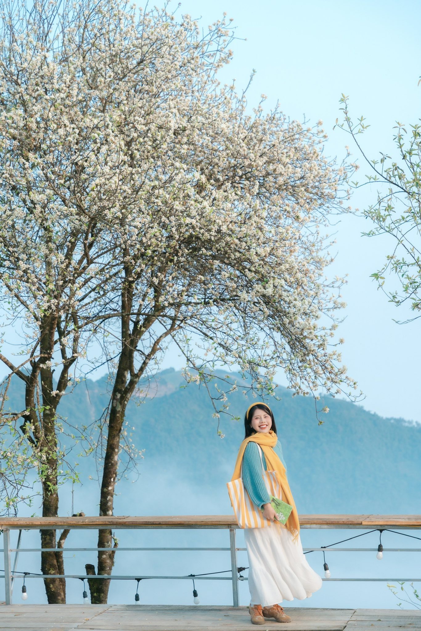 Một số khu vực ở Tà Xùa đang bước vào thời điểm hoa sơn tra nở rộ, thu hút đông đảo du khách và những người yêu nhiếp ảnh tìm đến tham quan, chụp hình. Ảnh: Linh Xinh