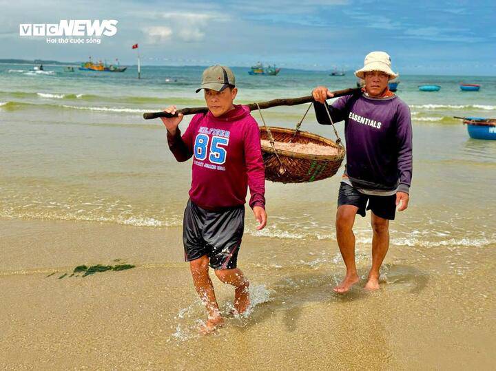 Nhiều ngư dân địa phương chia sẻ nghề khai thác ruốc biển đóng vai trò quan trọng, đặc biệt vào thời điểm đầu năm. Khi ruốc xuất hiện dày đặc, bà con có thêm nguồn thu nhập đáng kể trước khi bước vào những chuyến biển dài ngày hơn.