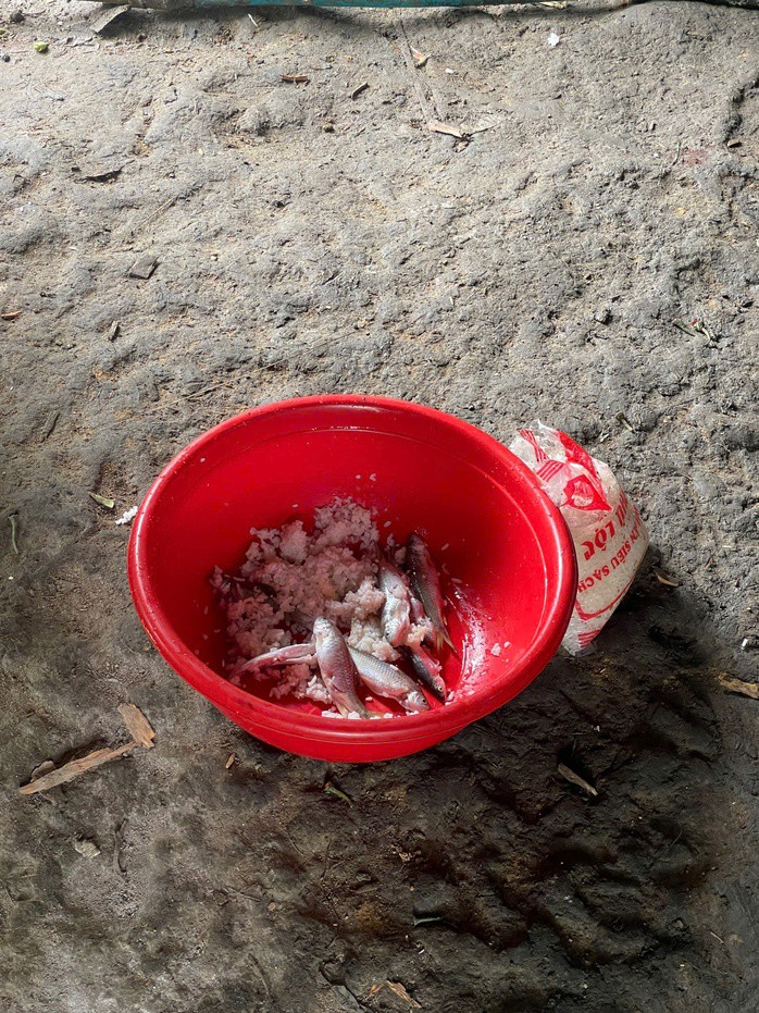 Món cá ủ chua khiến nhiều người bị ngộ độc nguy kịch