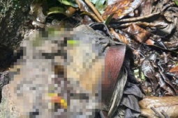 Phát hiện bộ xương người ở bìa rừng