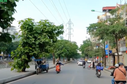 Tháng 3/2026, bất ngờ trước giá cho thuê nhà riêng tại 3 phường Hai Bà Trưng, Bạch Mai và Vĩnh Tuy (Hà Nội)