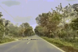 4 đứa trẻ nằm giữa đường giả làm 'gờ giảm tốc' khiến tài xế hoảng hốt