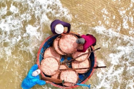 Ruốc đỏ au xuất hiện dày đặc ở vùng biển gần bờ, ngư dân bội thu