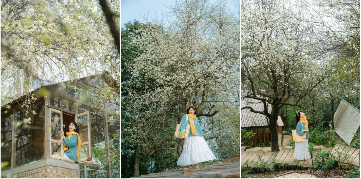 Du khách nên chọn trang phục có tông màu sáng để trở nên nổi bật giữa mùa hoa sơn tra. Ảnh: Linh Xinh