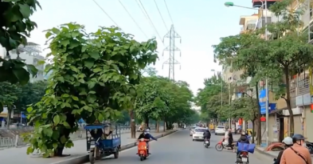 Tháng 3/2026, bất ngờ trước giá cho thuê nhà riêng tại 3 phường Hai Bà Trưng, Bạch Mai và Vĩnh Tuy (Hà Nội)