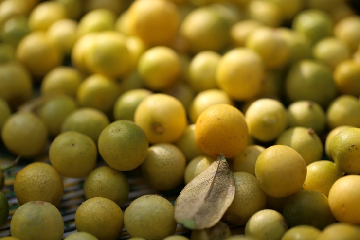 Chanh là loại quả phổ biến ở nước ta.