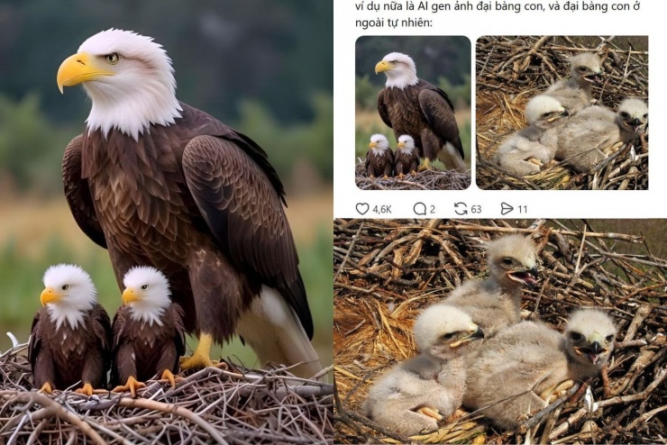 Những video động vật cứu người nhận về phản ứng trái chiều từ netizen Trung Quốc. - Clip: 1976575698.