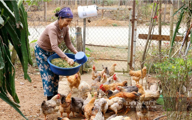 Loài vật từng chỉ có trong truyền thuyết Sơn Tinh – Thủy Tinh nay thành kiểu làm giàu của người dân Phú Thọ - 2