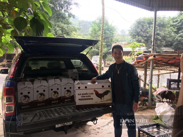 Loài vật từng chỉ có trong truyền thuyết Sơn Tinh – Thủy Tinh nay thành kiểu làm giàu của người dân Phú Thọ - 8