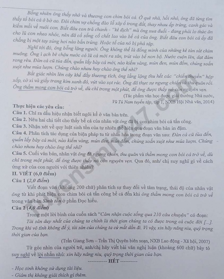 Đề kiểm tra khảo sát môn Văn của học sinh lớp 11. Ảnh: CMH