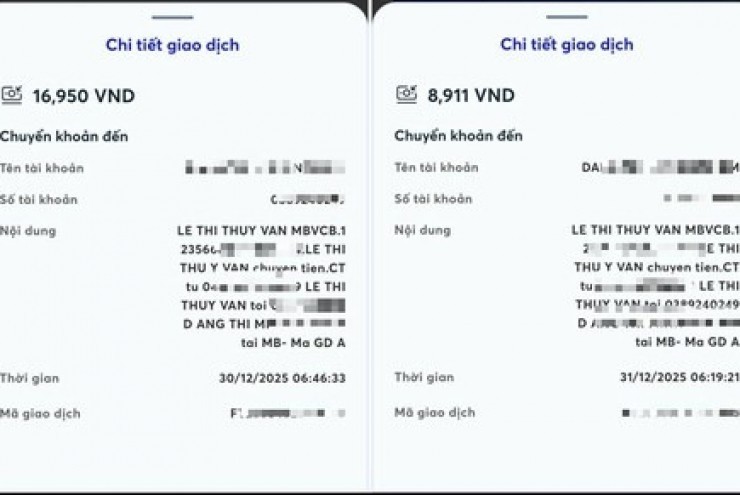 Một phụ nữ lừa đảo chiếm đoạt tài sản với thủ đoạn hiếm thấy