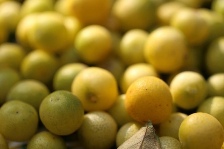 Loại quả nhỏ xíu được trồng khắp Việt Nam, đứng đầu danh sách quả “tốt nhất thế giới”, giá chỉ vài nghìn đồng, ăn cực tốt