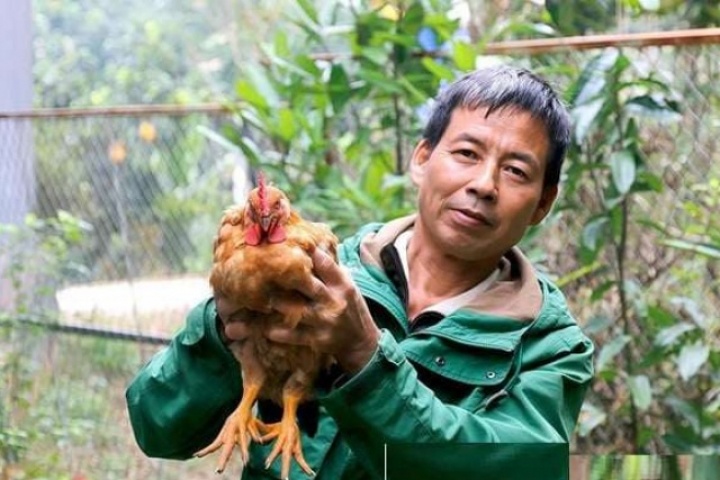 Loài vật từng chỉ có trong truyền thuyết Sơn Tinh – Thủy Tinh nay thành kiểu làm giàu của người dân Phú Thọ