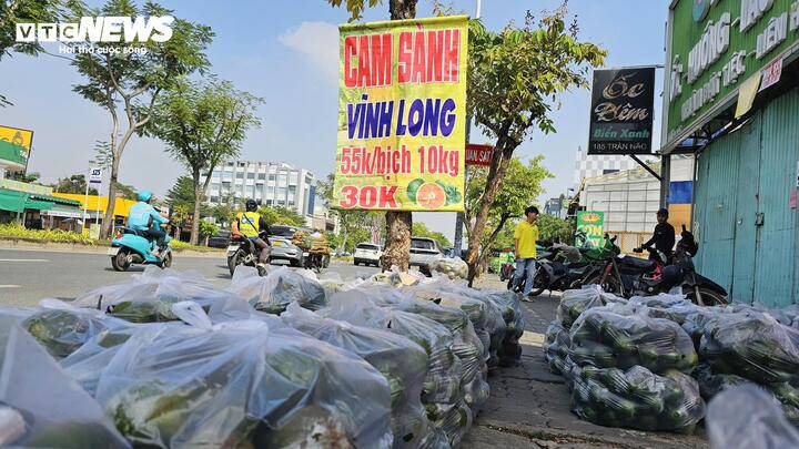 Cam sành được bày bán dọc vỉa hè đường Trần Não, phường An Khánh, TP.HCM.