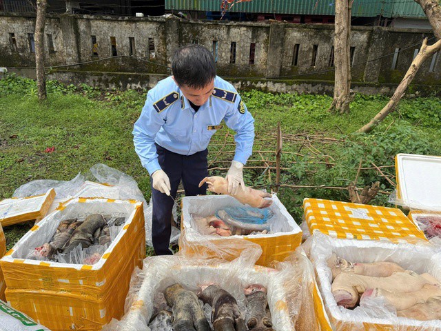Cận cảnh hơn 2,6 tấn thực phẩm không rõ nguồn gốc vừa được lực lượng chức năng phát hiện khi tiến hành kiểm tra xe tải lưu thông trên cao tốc Bắc – Nam.