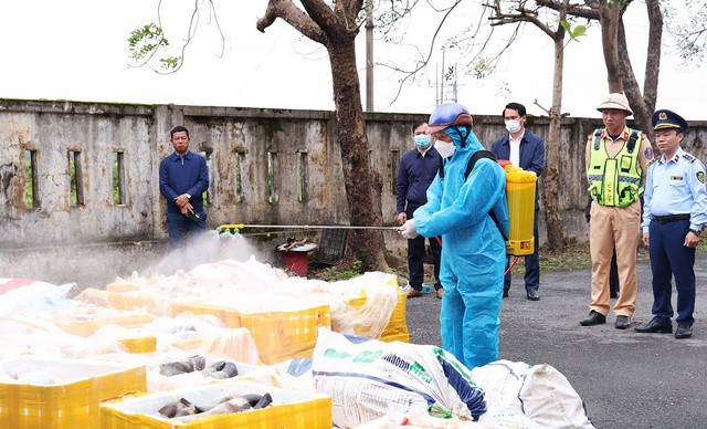 Trong quá trình tăng cường kiểm tra, kiểm soát thị trường, lực lượng chức năng tỉnh Hà Tĩnh đã phát hiện và xử lý vụ vận chuyển số lượng lớn thực phẩm không rõ nguồn gốc xuất xứ lưu thông trên tuyến cao tốc Bắc – Nam qua địa bàn.