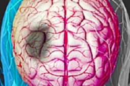 Tin tức sức khỏe - Bị mất ngủ, khó ngủ mà không biết điều này sẽ cực kỳ nguy hiểm, người mất ngủ đọc ngay thông tin này để không phải hối tiếc