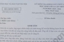 Đề thi Văn khảo sát chất lượng học sinh 11 Hà Nội với nội dung gây chú ý