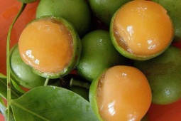 Tin tức sức khỏe - Bị trào ngược dạ dày, dùng nhiều cách không đỡ: Thử mẹo này là thấy ngay hiệu quả