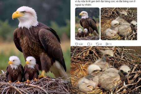 Thế giới động vật "hệ AI": Ranh giới mong manh giữa giải trí và xô lệch góc nhìn