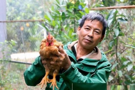 Loài vật từng chỉ có trong truyền thuyết Sơn Tinh – Thủy Tinh nay thành kiểu làm giàu của người dân Phú Thọ