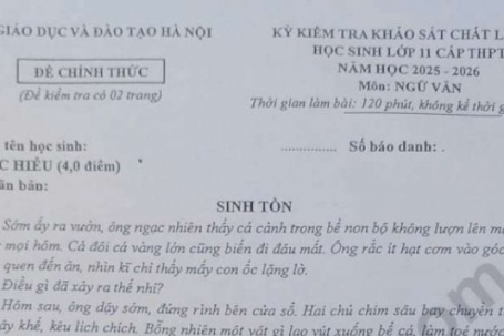 Đề thi Văn khảo sát chất lượng học sinh 11 Hà Nội với nội dung gây chú ý