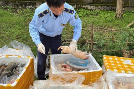 Kinh hoàng hơn 2,6 tấn chân trâu, nội tạng động vật không rõ nguồn gốc vừa bị phát hiện khi lưu thông trên cao tốc Bắc – Nam