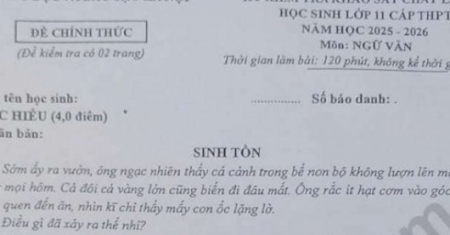 Đề thi Văn khảo sát chất lượng học sinh 11 Hà Nội với nội dung gây chú ý