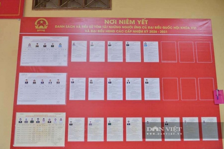 Danh sách và tiểu sử các ứng cử viên lần này.&nbsp;Ảnh: Gia Khiêm