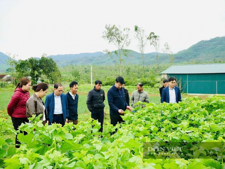 Theo anh Nguyễn Công Chính, ở thôn Tân Tiến, xã Đức Thịnh, Hà Tĩnh, chi phí đầu tư thấp, vòng vốn xoay nhanh và thị trường tiêu thụ (đầu ra kén tằm) tương đối ổn định. Ảnh: PV