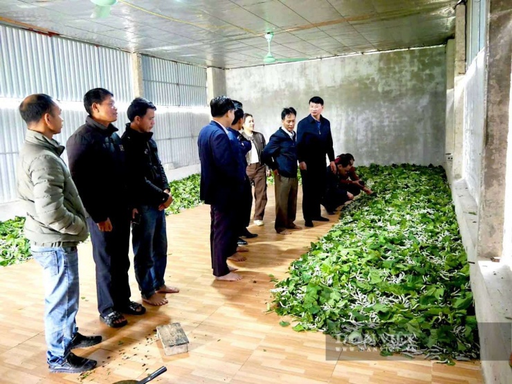 Một số hộ dân tại xã Đức Thịnh đã áp dụng công nghệ nuôi tằm trong phòng điều hòa giúp kiểm soát nhiệt độ, giảm dịch bệnh và&nbsp;tăng sản lượng gấp 3 lần&nbsp;so với phương pháp truyền thống. Ảnh: PV