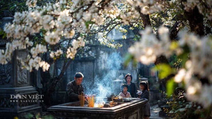 Tết Thanh minh 2026 rơi vào Chủ nhật ngày 5 tháng 4 Âm lịch tức ngày 18 tháng 2 Âm lịch chứ không phải "tiết tháng 3" như mọi năm