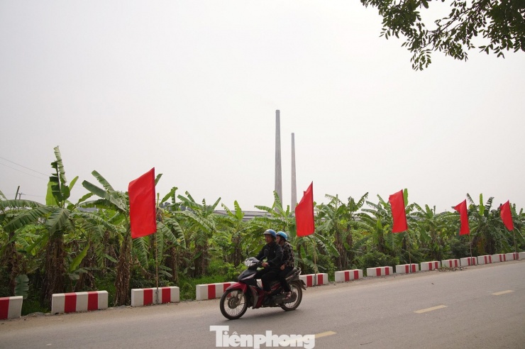 Trao đổi với phóng viên báo Tiền Phong, đại diện UBND xã Châu Ninh cho biết, dự án có tổng diện tích thực hiện tại địa bàn xã Tân Châu cũ khoảng 223,61ha. Trong đó có 191,16ha đất của hộ gia đình, cá nhân; 18,25ha đất công ích và 14,2ha đất phi nông nghiệp khác.