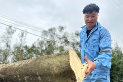 Nông dân xã miền núi Hà Tĩnh thu trăm tỷ nhờ 'tìm vàng' trong thân cây