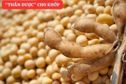 Tin tức sức khỏe - “Dưỡng chất vàng” đại bổ khiến khớp như được “tái sinh”, cử động trơn tru trở lại!