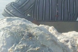 Đánh cá trên biển, 3 ngư dân vớt được thứ trị giá 67 tỷ đồng