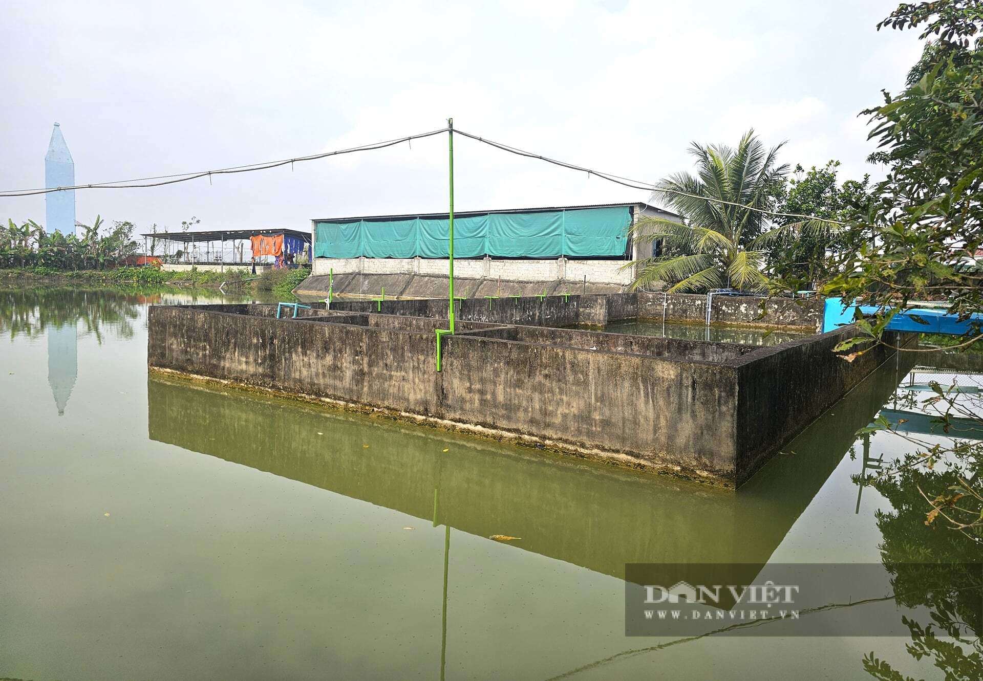 Anh Lượng xây dựng hệ thống bể chứa, lọc nước nhằm đảm bảo nguồn nước sạch để nuôi lươn. Ảnh: N.T