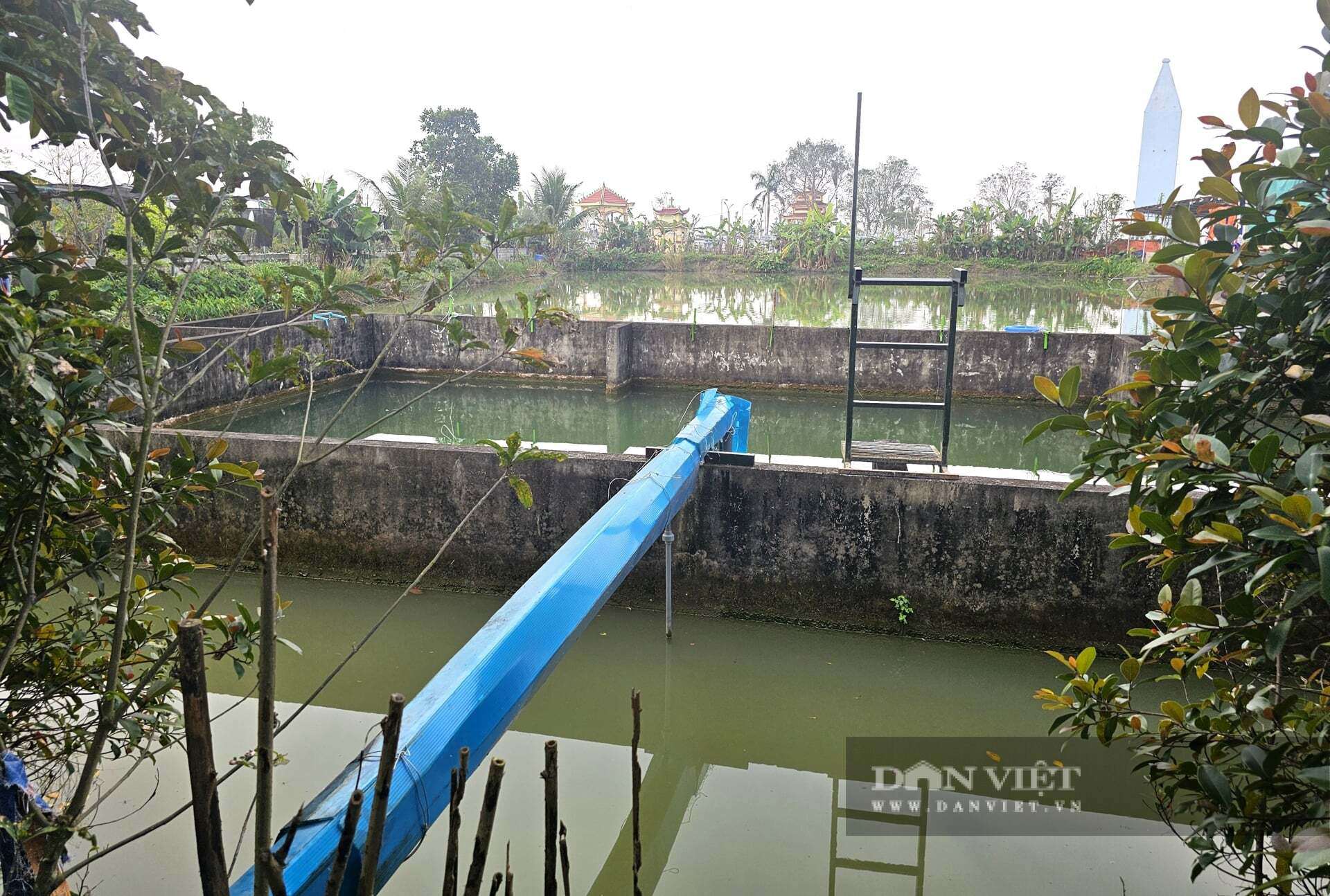 Anh Lượng xây dựng hệ thống bể chứa, lọc nước nhằm đảm bảo nguồn nước sạch để nuôi lươn. Ảnh: N.T