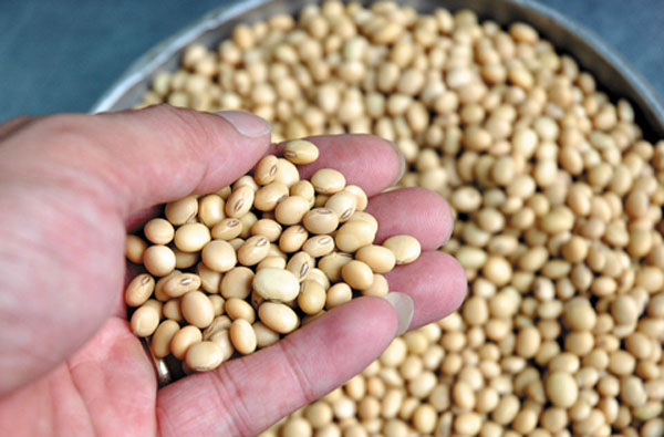 “Dưỡng chất vàng” đại bổ khiến khớp như được “tái sinh”, cử động trơn tru trở lại! - 1