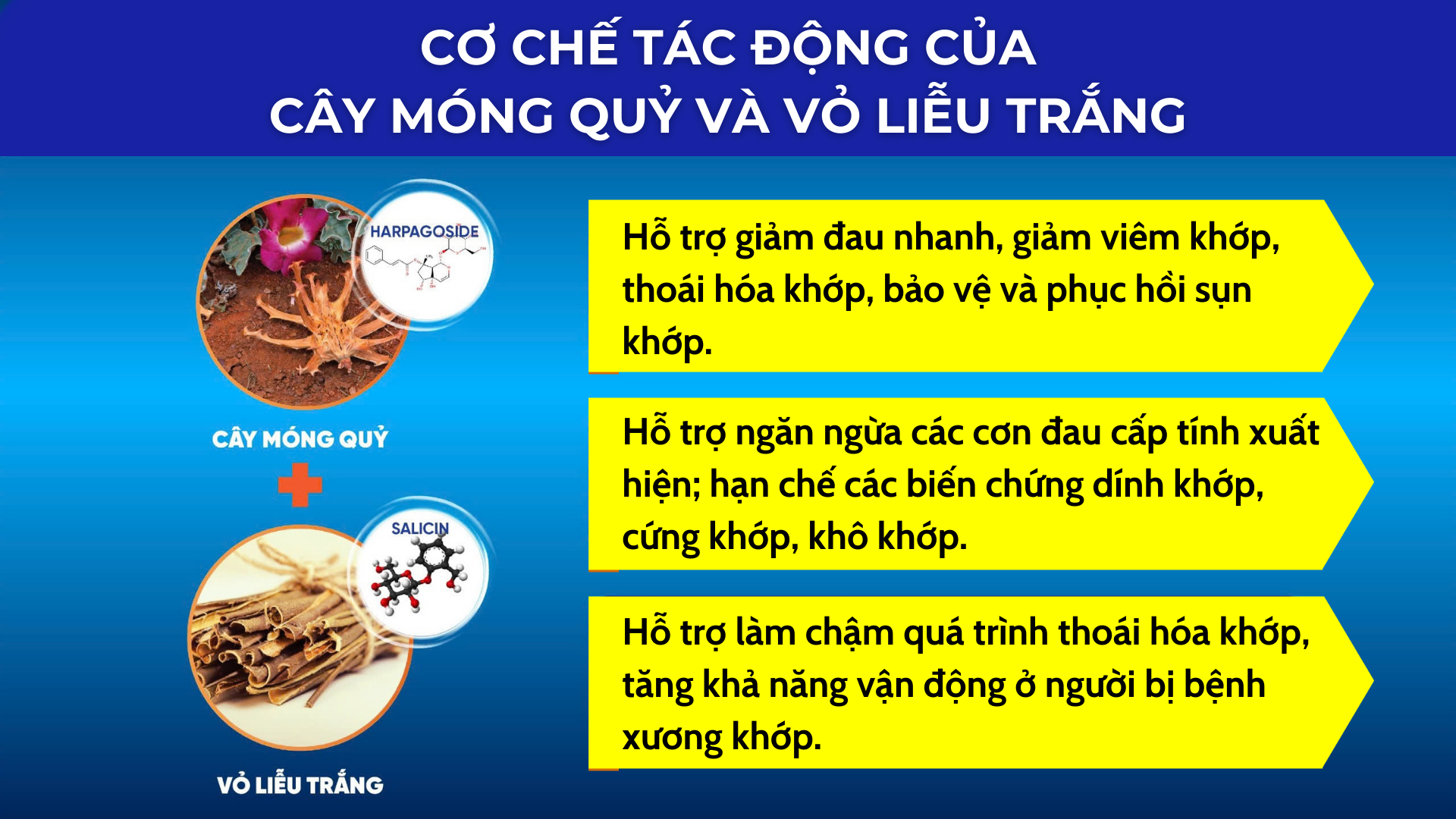 “Dưỡng chất vàng” đại bổ khiến khớp như được “tái sinh”, cử động trơn tru trở lại! - 4