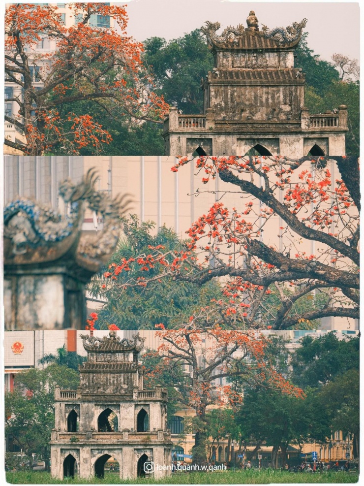 Ngắm loạt ảnh mùa cây thay lá, hiểu vì sao Hà Nội lọt top 50 thành phố đẹp nhất thế giới - 2