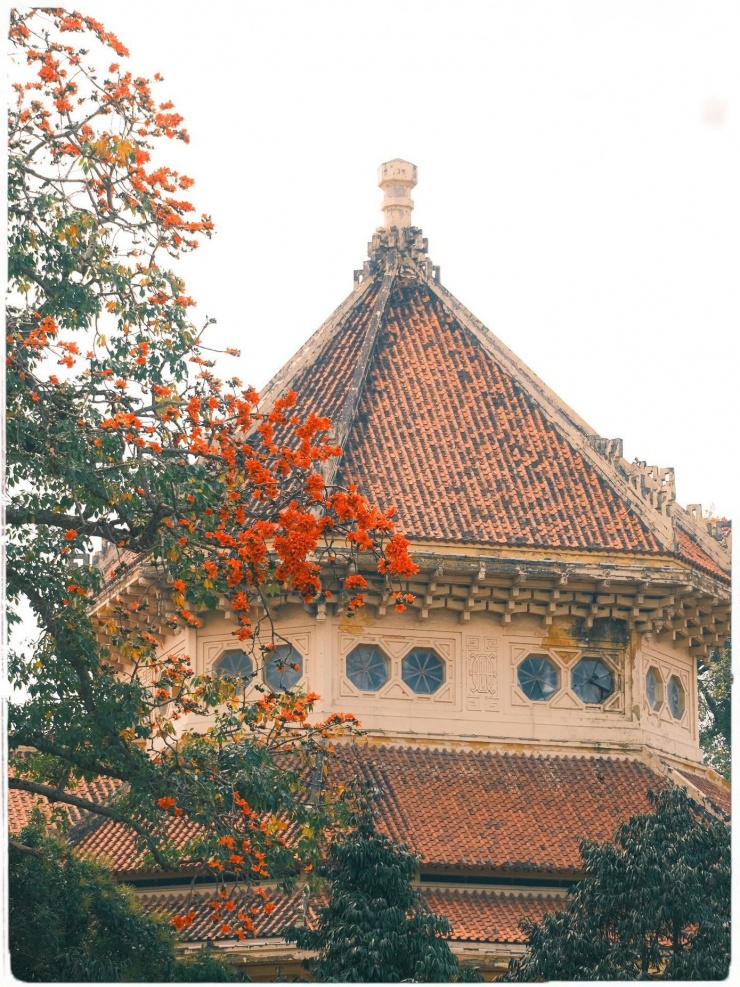 Ngắm loạt ảnh mùa cây thay lá, hiểu vì sao Hà Nội lọt top 50 thành phố đẹp nhất thế giới - 5