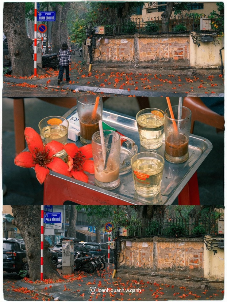 Ngắm loạt ảnh mùa cây thay lá, hiểu vì sao Hà Nội lọt top 50 thành phố đẹp nhất thế giới - 6